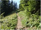 Vrh Bače - Planina Za Črno goro